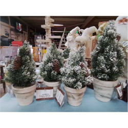 SAPIN V