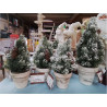 SAPIN V