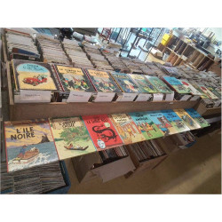 BD TINTIN 