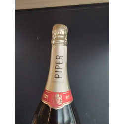 BOUTEILLE DECO (VIDE)